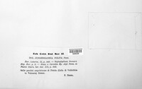 Image Associated With the Occurence